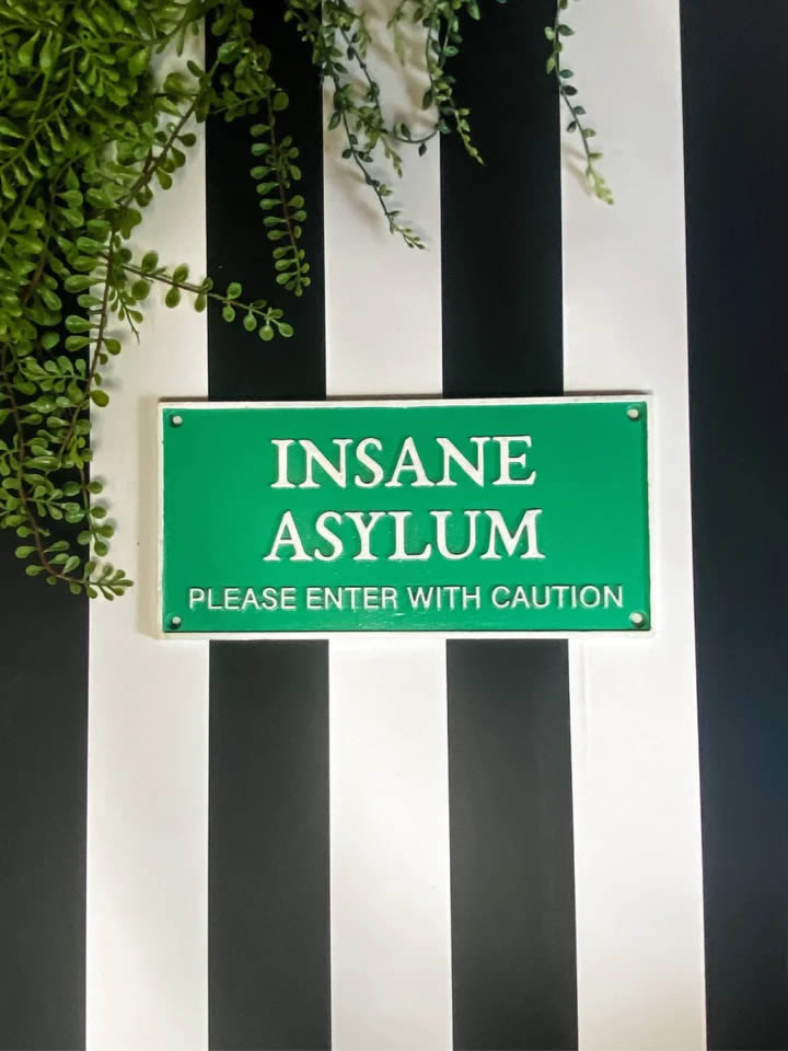 Insane Asylum quirky sign - Punk and Poodle